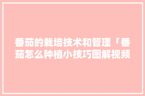番茄的栽培技术和管理「番茄怎么种植小技巧图解视频」 番茄的栽培技术和管理「番茄怎么种植小技巧图解视频」 番茄病虫害防治