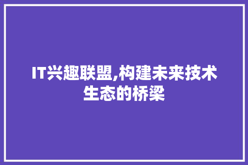 IT兴趣联盟,构建未来技术生态的桥梁