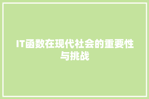 IT函数在现代社会的重要性与挑战