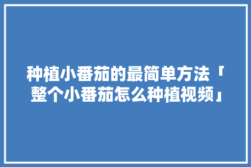 种植小番茄的最简单方法「整个小番茄怎么种植视频」 种植小番茄的最简单方法「整个小番茄怎么种植视频」 番茄病虫害防治
