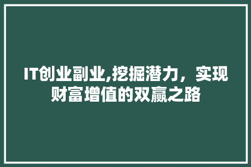 IT创业副业,挖掘潜力，实现财富增值的双赢之路