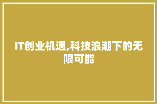 IT创业机遇,科技浪潮下的无限可能