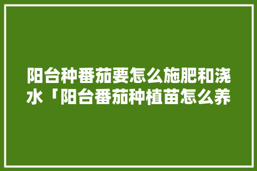 阳台种番茄要怎么施肥和浇水「阳台番茄种植苗怎么养护好」 阳台种番茄要怎么施肥和浇水「阳台番茄种植苗怎么养护好」 种植技巧