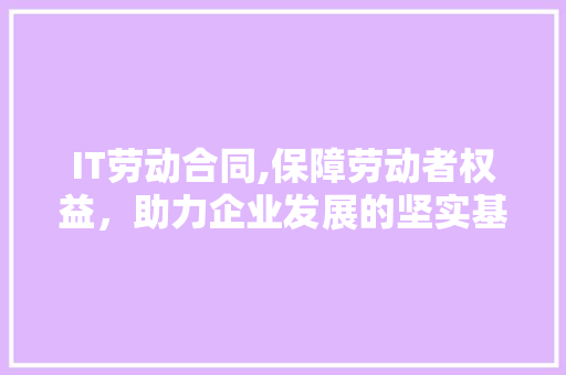 IT劳动合同,保障劳动者权益，助力企业发展的坚实基石