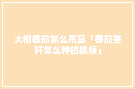 大棚番茄怎么吊蔓「番茄茎秆怎么种植视频」