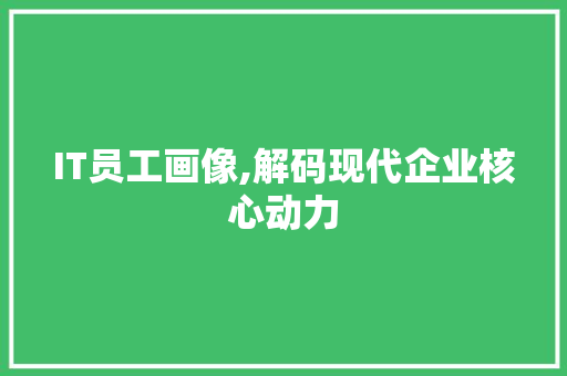IT员工画像,解码现代企业核心动力