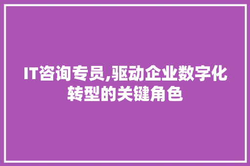 IT咨询专员,驱动企业数字化转型的关键角色