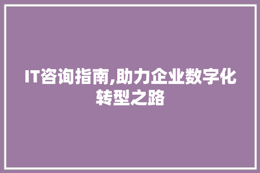 IT咨询指南,助力企业数字化转型之路