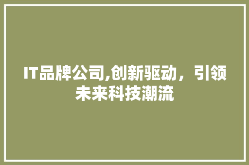 IT品牌公司,创新驱动，引领未来科技潮流
