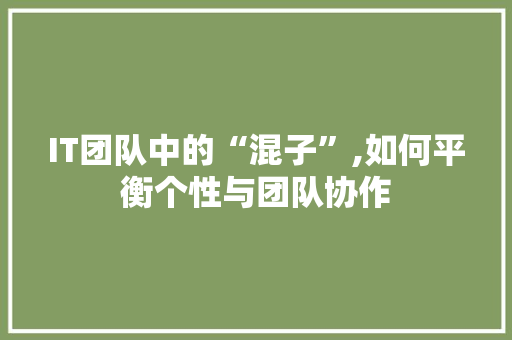 IT团队中的“混子”,如何平衡个性与团队协作