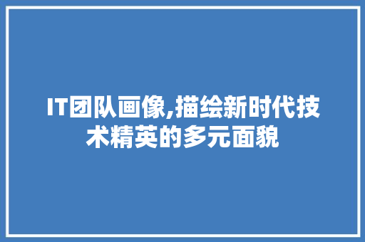 IT团队画像,描绘新时代技术精英的多元面貌