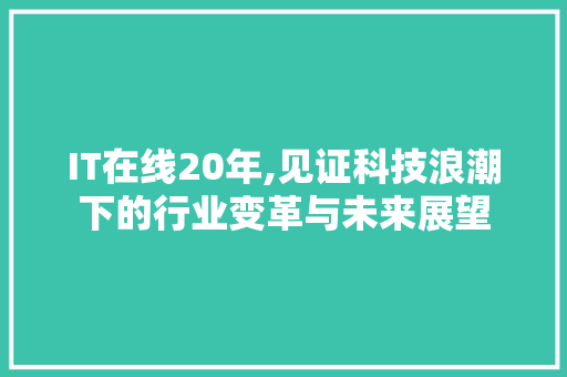 IT在线20年,见证科技浪潮下的行业变革与未来展望