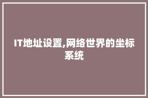 IT地址设置,网络世界的坐标系统