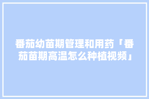 番茄幼苗期管理和用药「番茄苗期高温怎么种植视频」 番茄幼苗期管理和用药「番茄苗期高温怎么种植视频」 番茄病虫害防治