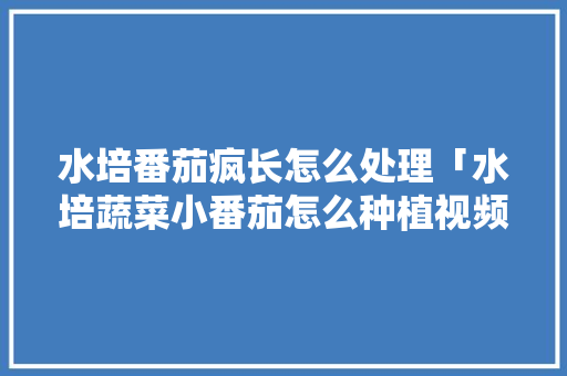 水培番茄疯长怎么处理「水培蔬菜小番茄怎么种植视频」 水培番茄疯长怎么处理「水培蔬菜小番茄怎么种植视频」 土壤施肥