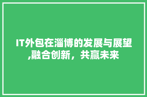 IT外包在淄博的发展与展望,融合创新，共赢未来