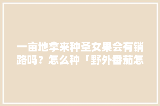 一亩地拿来种圣女果会有销路吗？怎么种「野外番茄怎么种植视频教程」 一亩地拿来种圣女果会有销路吗？怎么种「野外番茄怎么种植视频教程」 农业常识