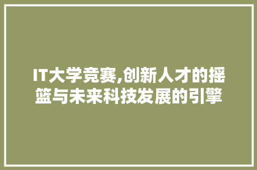 IT大学竞赛,创新人才的摇篮与未来科技发展的引擎