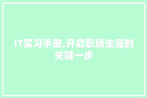 IT实习手册,开启职场生涯的关键一步