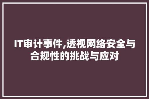 IT审计事件,透视网络安全与合规性的挑战与应对 IT审计事件,透视网络安全与合规性的挑战与应对