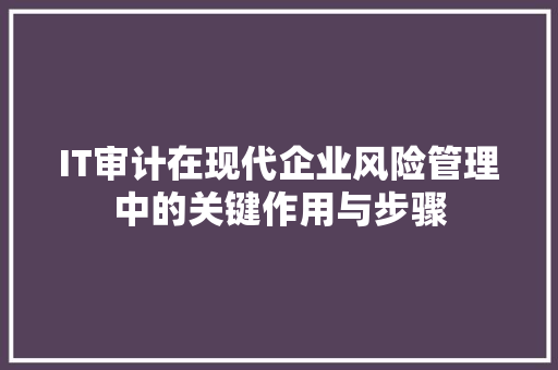 IT审计在现代企业风险管理中的关键作用与步骤 IT审计在现代企业风险管理中的关键作用与步骤