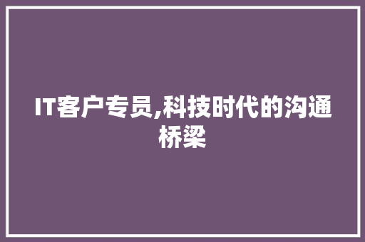 IT客户专员,科技时代的沟通桥梁