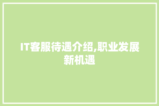 IT客服待遇介绍,职业发展新机遇