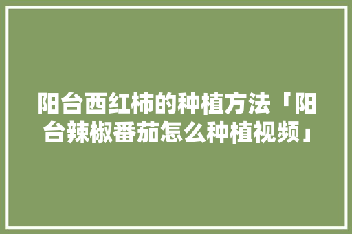 阳台西红柿的种植方法「阳台辣椒番茄怎么种植视频」 阳台西红柿的种植方法「阳台辣椒番茄怎么种植视频」 农业常识
