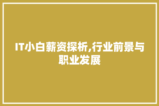 IT小白薪资探析,行业前景与职业发展