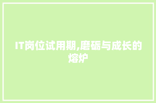 IT岗位试用期,磨砺与成长的熔炉