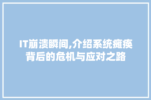 IT崩溃瞬间,介绍系统瘫痪背后的危机与应对之路