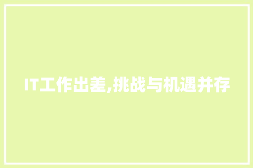 IT工作出差,挑战与机遇并存