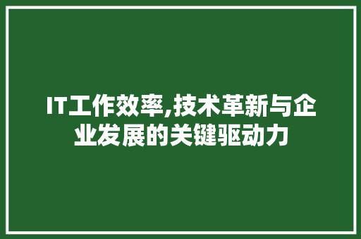 IT工作效率,技术革新与企业发展的关键驱动力