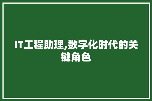 IT工程助理,数字化时代的关键角色
