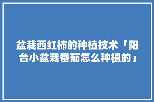 盆栽西红柿的种植技术「阳台小盆栽番茄怎么种植的」 盆栽西红柿的种植技术「阳台小盆栽番茄怎么种植的」 番茄病虫害防治