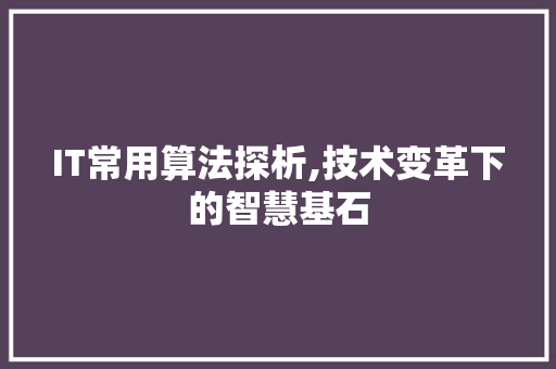 IT常用算法探析,技术变革下的智慧基石 IT常用算法探析,技术变革下的智慧基石