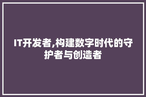 IT开发者,构建数字时代的守护者与创造者