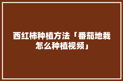 西红柿种植方法「番茄地栽怎么种植视频」 西红柿种植方法「番茄地栽怎么种植视频」 农业常识