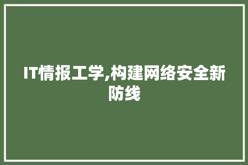 IT情报工学,构建网络安全新防线