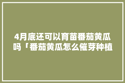4月底还可以育苗番茄黄瓜吗「番茄黄瓜怎么催芽种植视频」 4月底还可以育苗番茄黄瓜吗「番茄黄瓜怎么催芽种植视频」 植物种类
