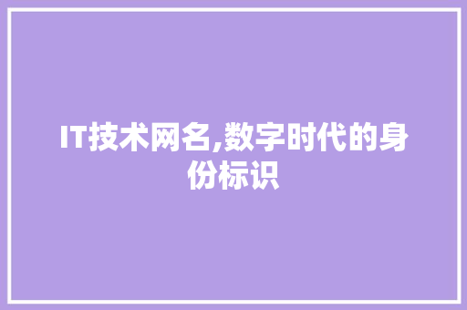 IT技术网名,数字时代的身份标识