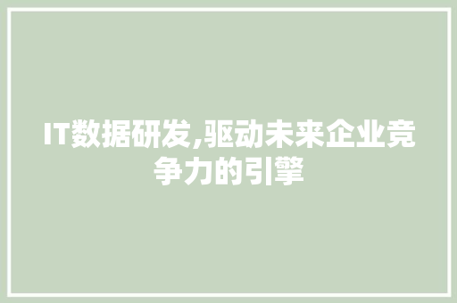 IT数据研发,驱动未来企业竞争力的引擎