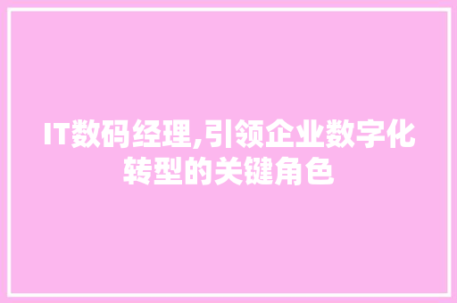 IT数码经理,引领企业数字化转型的关键角色