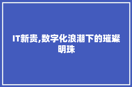 IT新贵,数字化浪潮下的璀璨明珠