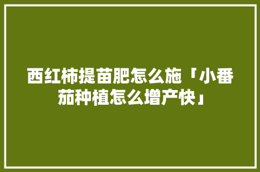 西红柿提苗肥怎么施「小番茄种植怎么增产快」 西红柿提苗肥怎么施「小番茄种植怎么增产快」 番茄病虫害防治