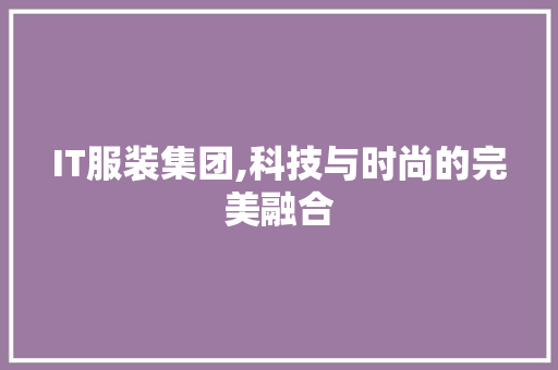 IT服装集团,科技与时尚的完美融合