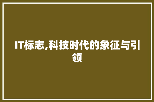 IT标志,科技时代的象征与引领