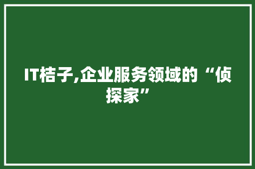 IT桔子,企业服务领域的“侦探家”