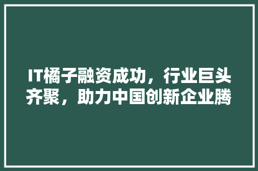 IT橘子融资成功，行业巨头齐聚，助力中国创新企业腾飞