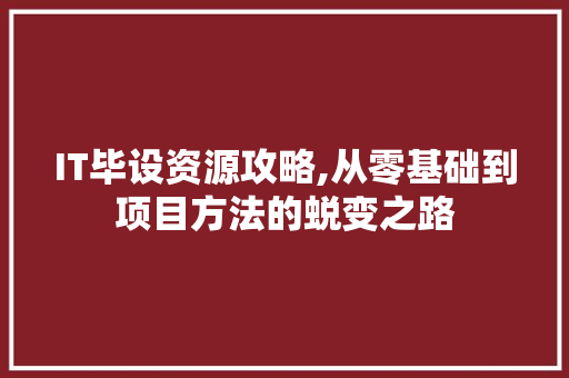 IT毕设资源攻略,从零基础到项目方法的蜕变之路